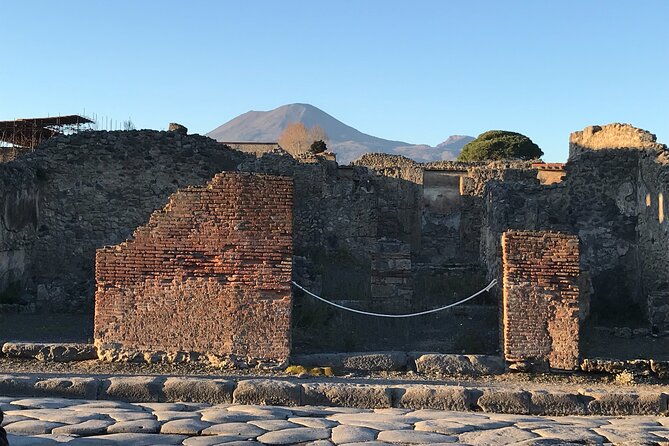 Pompeii Private Tour with expert local guide - Why the guide matters so much at Pompeii