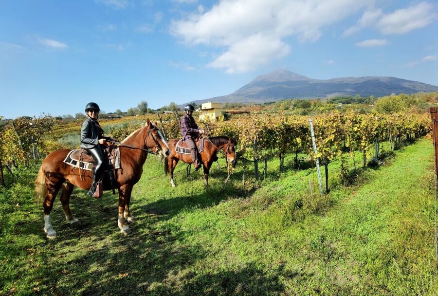 Pompeii: Ruins Tour and Mount Vesuvius Horseback Ride - Getting started at Hortus Pompei (and why the meeting point matters)
