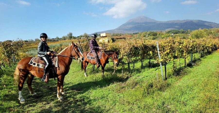 Pompeii: Ruins Tour and Mount Vesuvius Horseback Ride - The quick van transfer up to Vesuvius