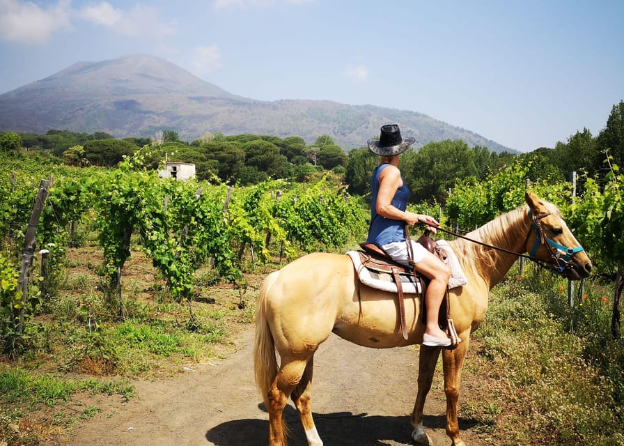 Pompeii: Ruins Tour and Mount Vesuvius Horseback Ride - Lunch and Vesuvian wine tasting on a terrace