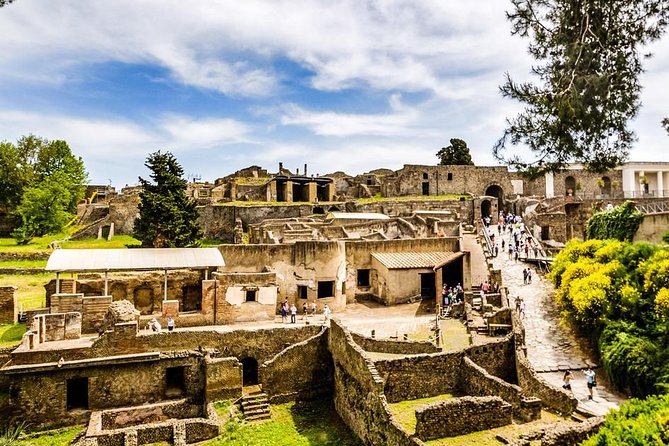 Pompeii Skip-the-Line Entry & Guided Tour with a certified guide - Macellum and the Forum Baths: food and water, up close