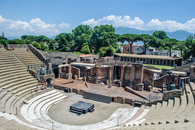 Pompeii Skip-the-Line Ticket and Virtual Museum - Getting there and what to bring: ID, dogs, and the meeting point