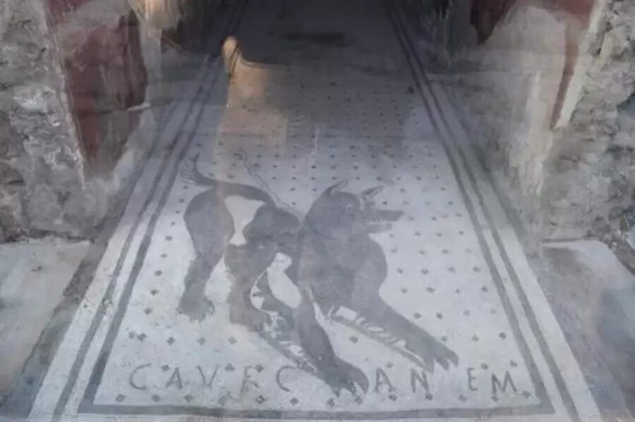 Pompeii: Skip the Line Ticket + Audioguide - The “atmosphere stuck in time” part you’ll actually feel