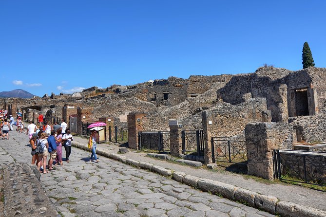 Pompeii: Skip-the-line-Ticket with Guided Tour - Price and value: $64.89 is not cheap, but it can be smart