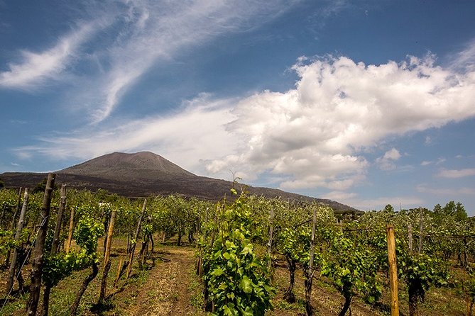 Pompeii Small Group Tour & Food/Wine tasting at Mt. Vesuvius - Casa Setaro Winery on Vesuvius: tasting with a volcanic-soil twist