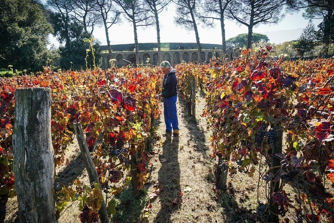 Pompeii Small Group Tour & Food/Wine tasting at Mt. Vesuvius - Porta Marina Superiore: easy start and skip-the-line entry