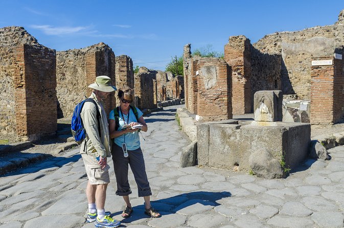 Pompeii Small Group Tour with an Archaeologist - Group size and pacing: what feels great, and what to expect