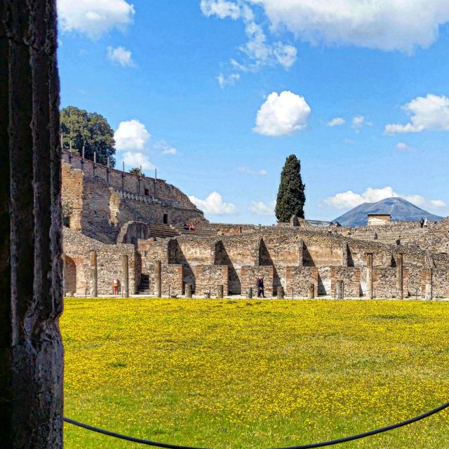 Pompeii Sunset tour for small group - Languages and Guides: English, French, Spanish, Italian