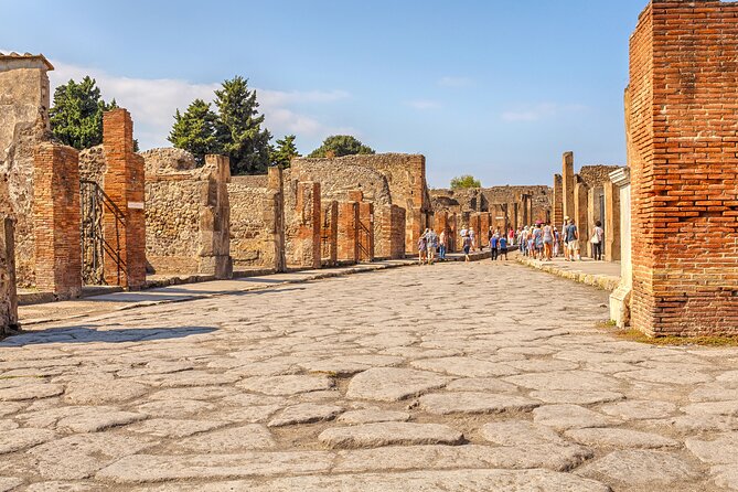 Pompeii Ticket + Tour with Optional Tasting Experience at Pompeii - Choosing the right day and time slot