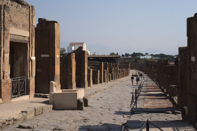 Pompeii Tour & Lunch with Wine Tasting Experience - Getting there and back: meeting point and pickup choices that affect your stress level