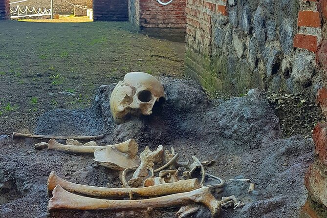 Pompeii: Tour with Archaeologist Guide & Skip-the-Line Entry - Skip-the-Line Entry Meets the Welcome Box Check-In