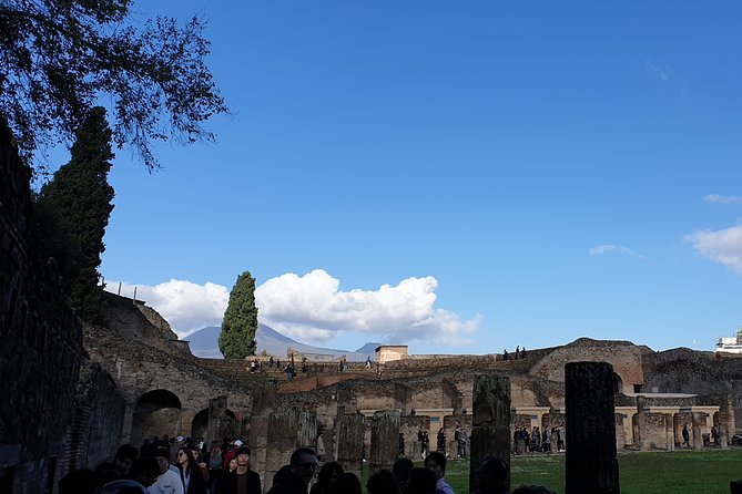 Pompeii tour with entrance ticket! - Skip-the-line priority entrance: valuable, but don’t confuse it with admission