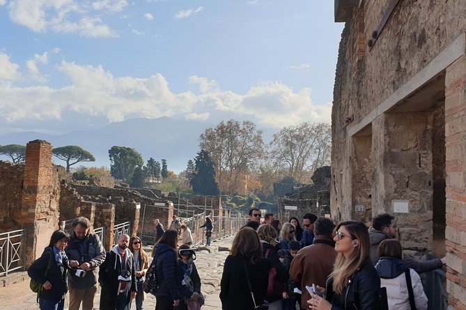 Pompeii tour with entrance ticket! - Price and value: $78.10 is about the guide and priority, not admission