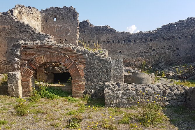 Pompeii Tour with experienced guide - Who this Pompeii tour fits best