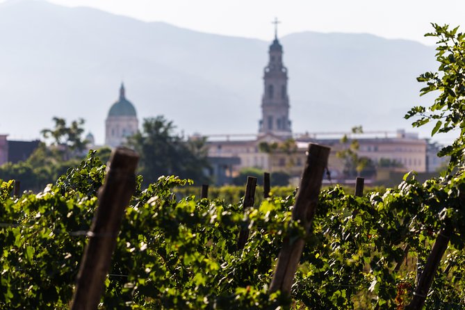 Pompeii Vineyard Escape: Private Wine Tasting & Lunch - Price and value: what $66.54 buys you in the real world