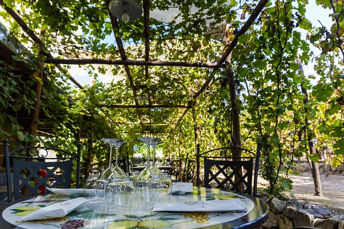 Pompeii Vineyard Escape: Private Wine Tasting & Lunch - The winery stops: experimental vineyard to barrels and amphorae