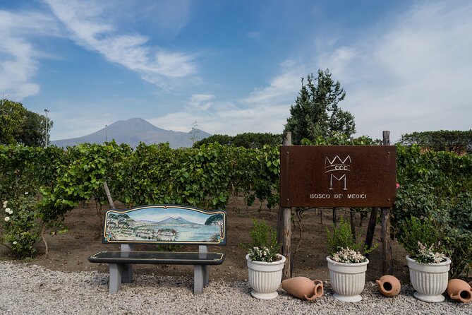 Pompeii Vineyard Escape: Private Wine Tasting & Lunch - Getting to Via Antonio Segni: start point and timing that keep things simple