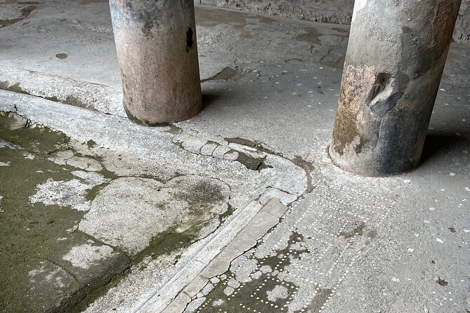 Pompeii walking tour (2hrs) - Price and logistics: is $60.08 good value for Pompeii?