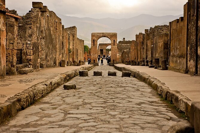 Pompeii Walking Tour with a licensed Guide - The Pompeii Archaeological Park stop: why it feels like an open book