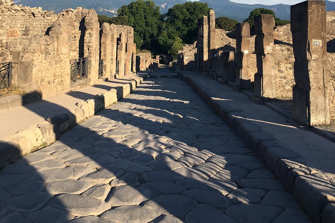 Pompeii with an archaeologist, the original!!! - An archaeologist with real Pompeii work, not just a guidebook