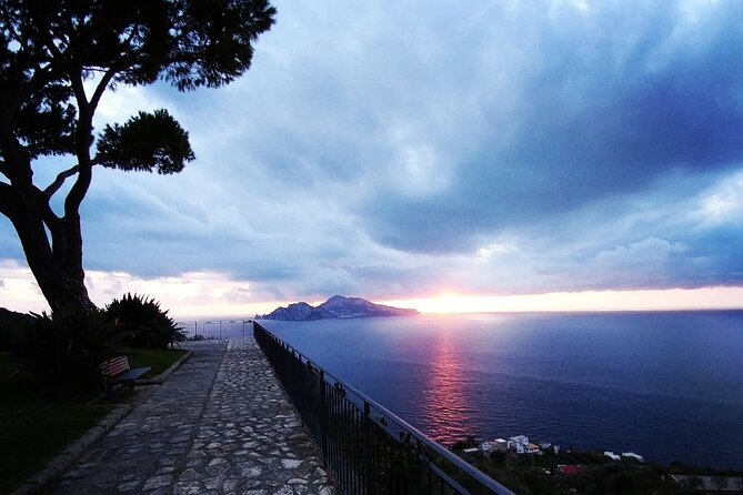Positano, Sorrento and Pompei Tour from Naples - Parco Nazionale del Vesuvio stop: a viewpoint break