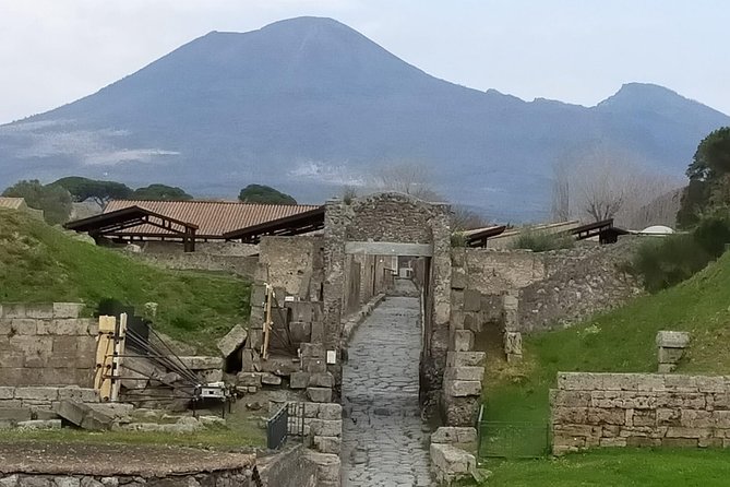 Private Archaeologist service to explore Pompeii's secrets any time ticket incl. - Stop 1: Pompeii Archaeological Park (The First Hour That Sets You Up)