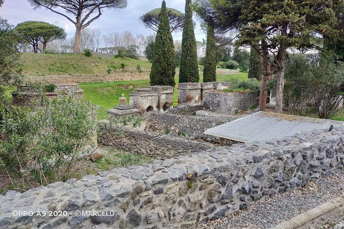 Private Archaeologist service to explore Pompeii's secrets any time ticket incl. - Stop 2: Casa del Fauno (A Mega House With Real Scale)