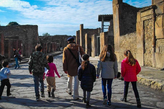 Private Awesome Pompeii Family Tour + Guide, Transport & Tickets - Vesuvius photo stop from the bottom slopes (not the summit)
