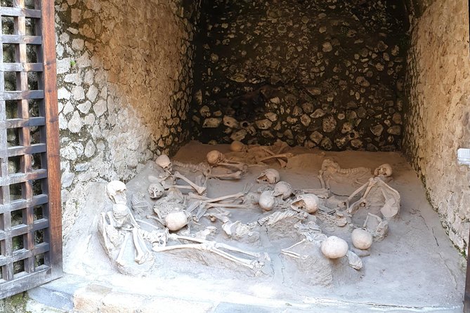 Private Day Tour to Vesuvius, Herculaneum & Pompeii with Pick Up - Who should book this private Pompeii–Herculaneum–Vesuvius day