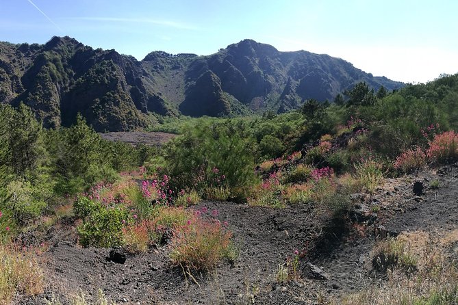 Private Day Tour to Vesuvius, Herculaneum & Pompeii with Pick Up - My practical checklist before you go