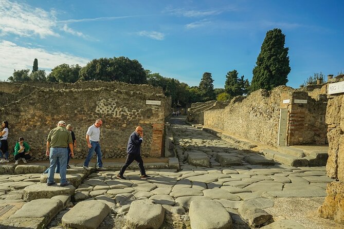 Private guided tour Of Pompei - Who this private Pompeii tour is best for