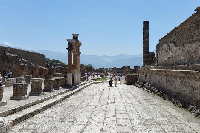 Private Guided Tour of Pompeii and Herculaneum - How long is long enough? Timing, pace, and what to expect