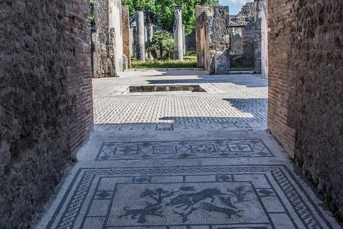 Private Guided Tour of Pompeii. Sunset Tour - Lupanar and two famous houses: entertainment plus mosaic-heavy interiors
