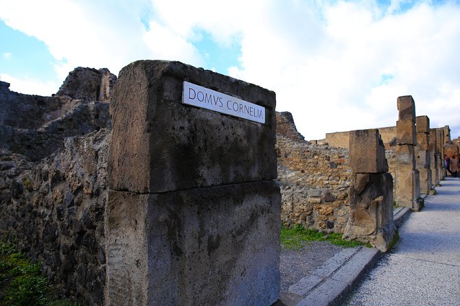 Private Half-Day Tour of The Pompeii Ruins Highlights and Mann - The 4-hour Pompeii-and-Naples combo that actually fits