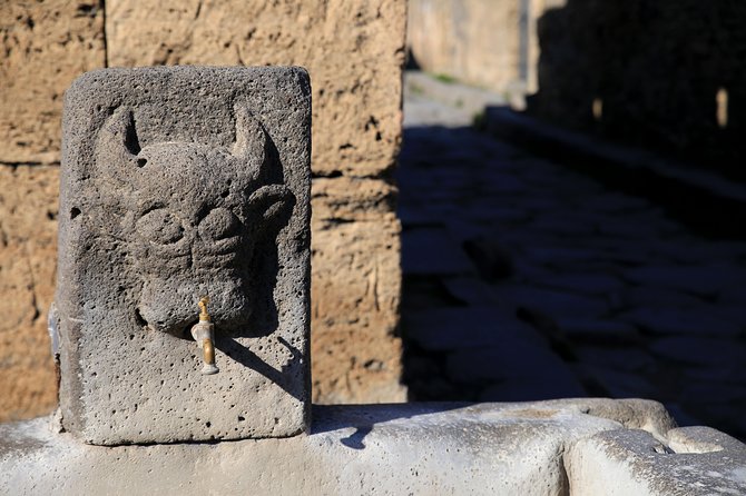 Private Half-Day Tour of The Pompeii Ruins Highlights and Mann - Pompeii Archaeological Park: the “highlights first” strategy
