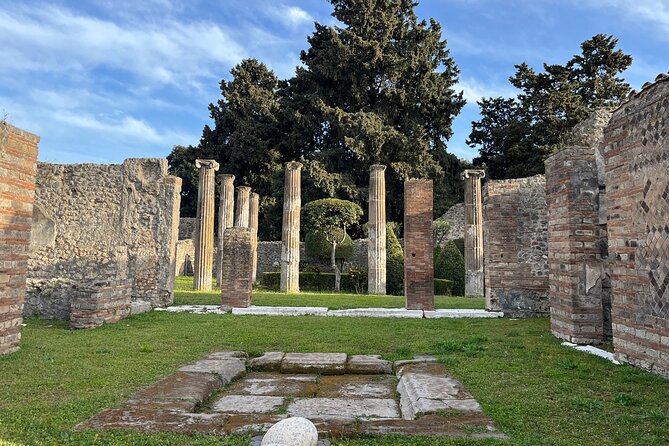 Private Half Day Tour to the Ruins of Pompeii - Getting There: Pickup You Control (And Why It Changes the Math)