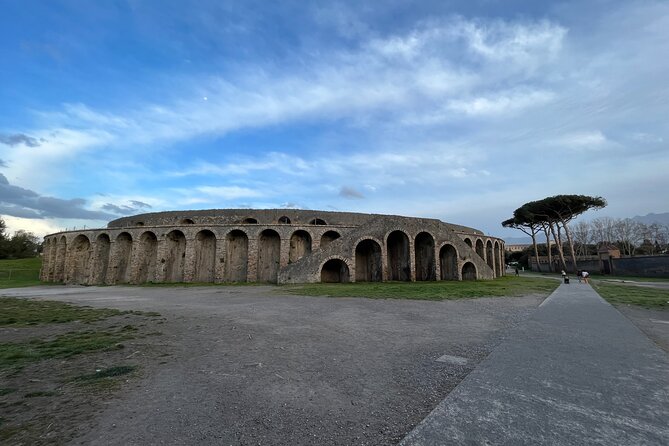 Private Half Day Tour to the Ruins of Pompeii - Optional Lunch and Vesuvius Wine Tasting Add-On