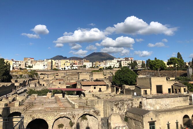 Private Pompeii and Herculaneum with Wine Tasting - Full Tickets - Getting the most out of an 8–9 hour day