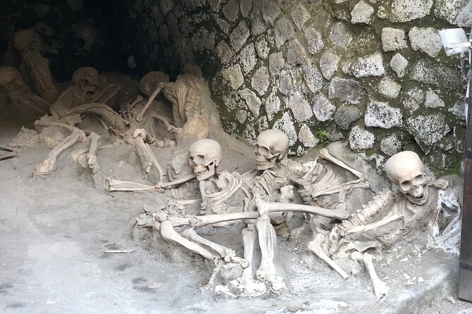 Private Pompeii and Herculaneum with Wine Tasting - Full Tickets - Pompeii you can actually understand: homes, baths, markets, and “everyday life”