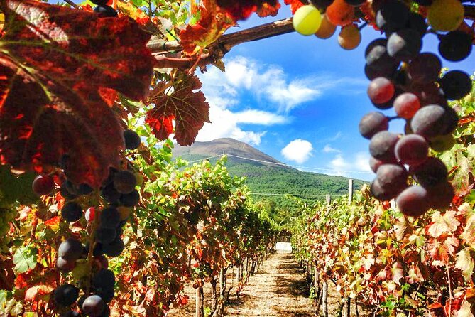 Private Pompeii and Vesuvius with Wine Tasting and Full Tickets - Cantina del Vesuvio: volcanic wine tasting plus a proper vineyard lunch