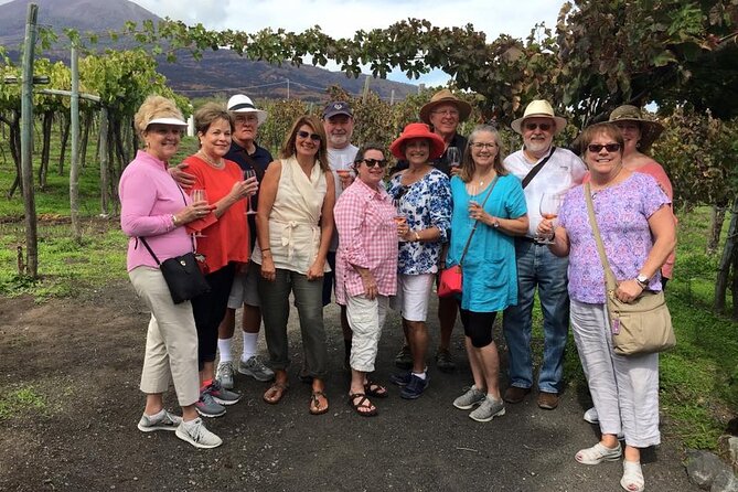 Private Pompeii and Vesuvius with Wine Tasting and Full Tickets - Pompeii for Kids: a route that teaches without turning into homework