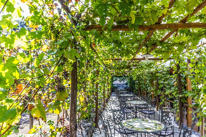 Private Pompeii Tour with Organic Wine Tasting & Lunch - The Traditional Lunch: What’s Included and How Filling It Feels