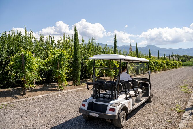 Private Pompeii Tour with Organic Wine Tasting & Lunch - Price and Value: Is $217.22 Fair for This Package?