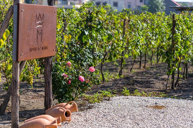 Private Pompeii Tour with Organic Wine Tasting & Lunch - Bosco de’ Medici Winery: Vineyards, Cellar, and Organic Wine Tasting