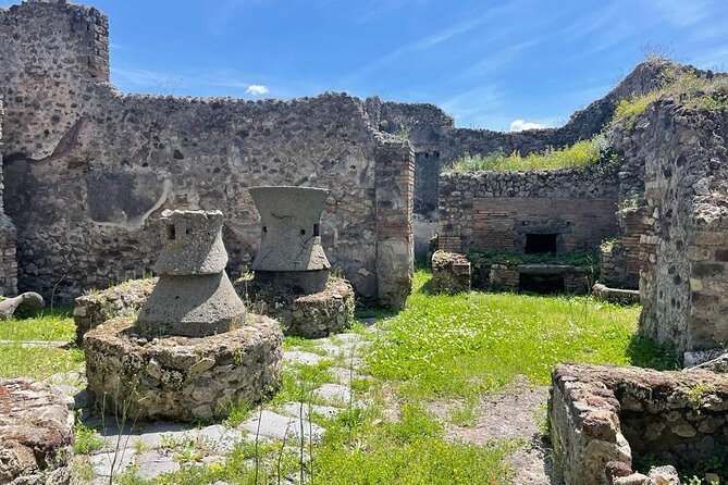 Private Skip The Line Archeo Tour Of Pompeii - Who This Tour Suits Best (And Who Might Not Love It)