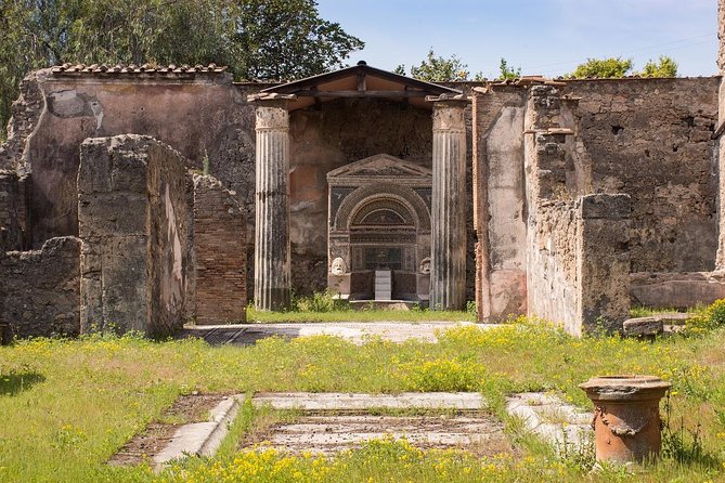 Private Tour of Pompeii with official tour guide and skip the line tickets - Skip-the-line Pompeii: time you’ll actually get to spend