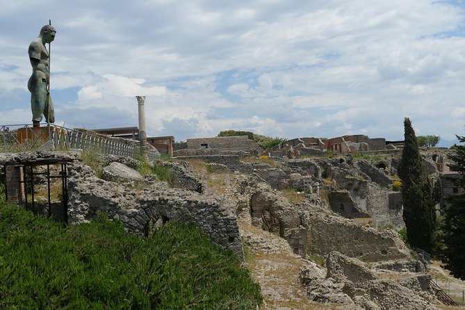 Private Tour of Pompeii with official tour guide and skip the line tickets - Who this Pompeii private tour is best for