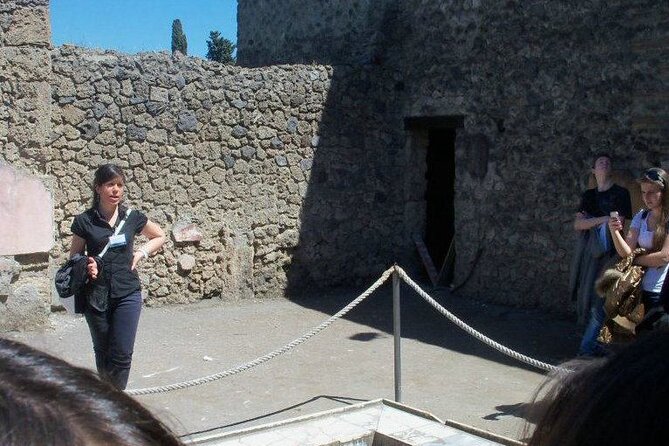 Private tour of the Pompeii excavations - What a private guide actually adds during your walk