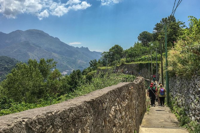 Private Tour: The Path of the Lemons - The Secret Lemon Garden: Where the Tour Adds Real Access