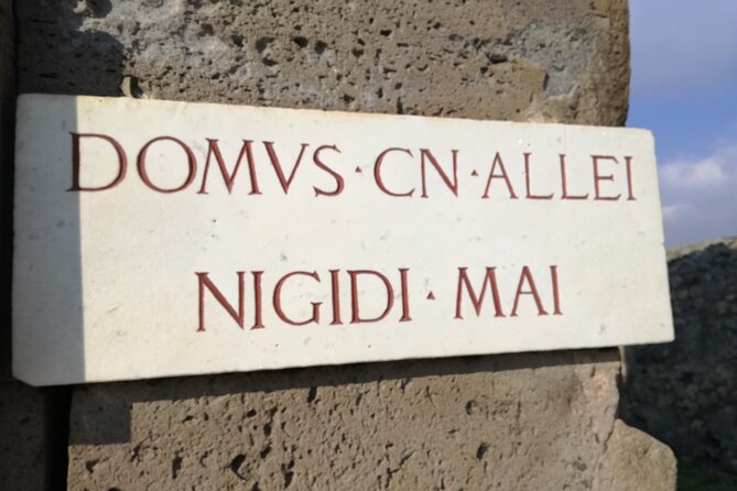 Private Tour with Official Guide through the wonders of Pompeii. - Meeting at Via Villa dei Misteri and the 12:30 start